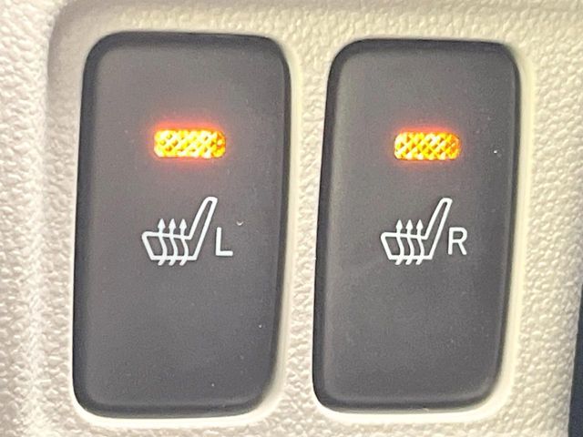 DAIHATSU CAST STYLE 2021 Image 31