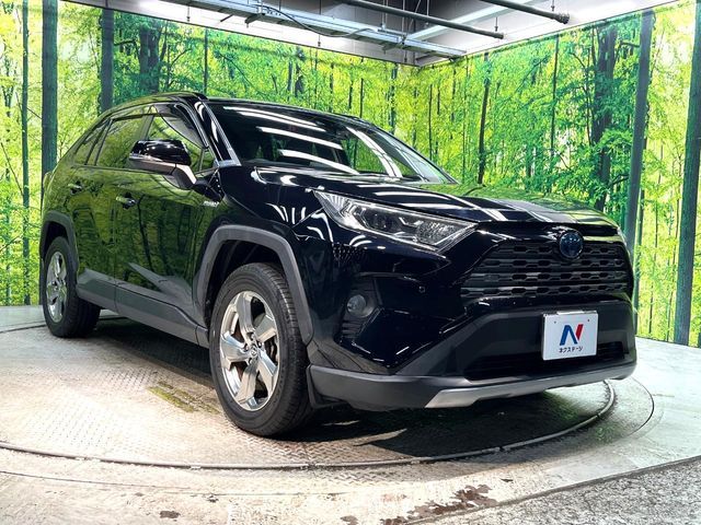 TOYOTA RAV4 HYBRID 4WD 2019 Image 31
