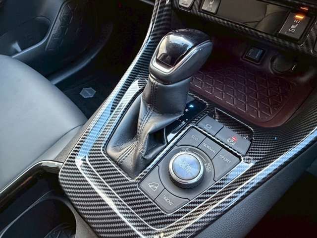 TOYOTA RAV4 4WD 2019 Image 31