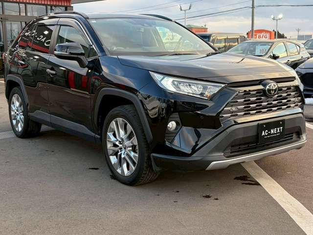 TOYOTA RAV4 4WD 2019 Image 31