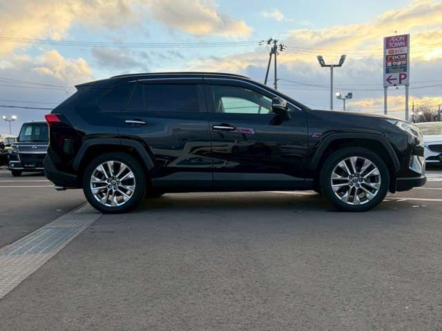 TOYOTA RAV4 4WD 2019 Image 31