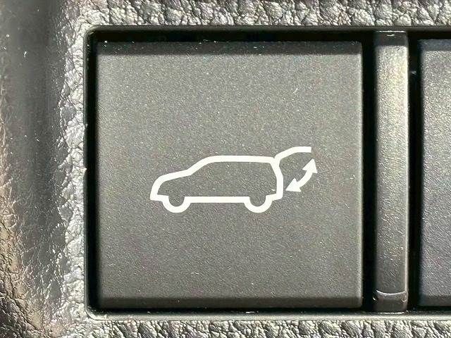 TOYOTA RAV4 HYBRID 4WD 2020 Image 31