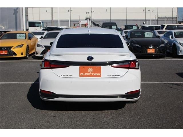 TOYOTA LEXUS ES300H 2019 Image 31