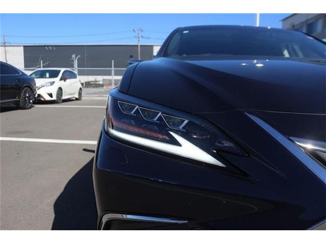 TOYOTA LEXUS ES300H 2019 Image 31