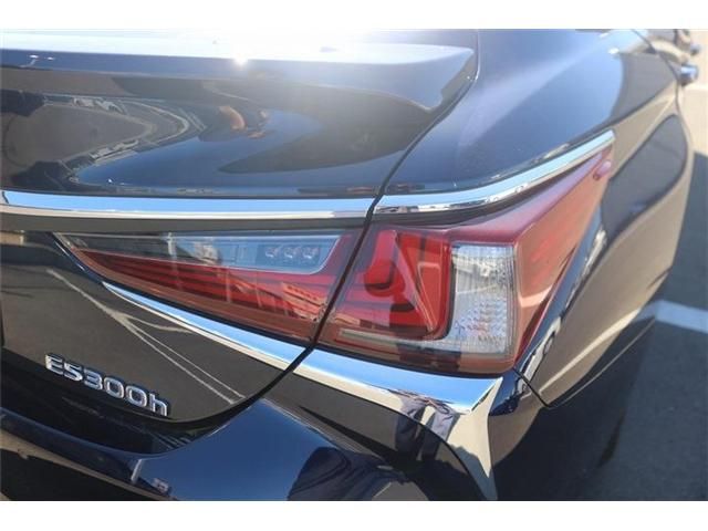 TOYOTA LEXUS ES300H 2019 Image 31