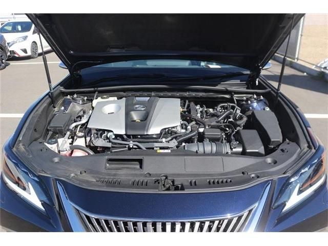 TOYOTA LEXUS ES300H 2019 Image 31