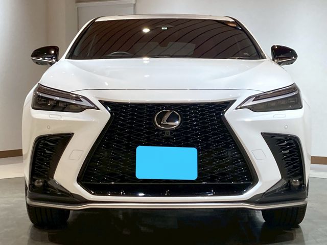 TOYOTA LEXUS NX350H 2023 Image 31