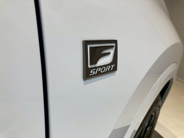 TOYOTA LEXUS NX350H 2023 Image 31