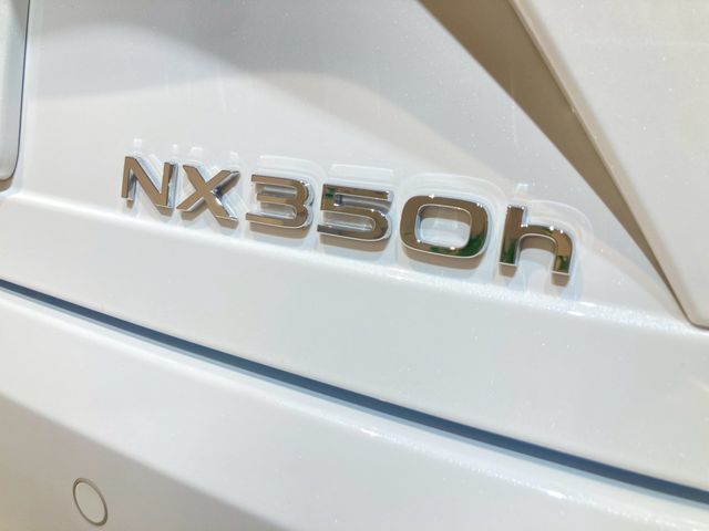 TOYOTA LEXUS NX350H 2023 Image 31