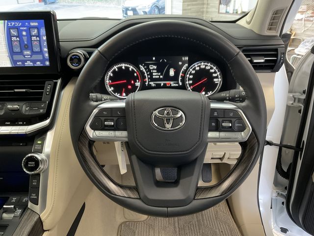 TOYOTA LANDCRUISER WAGON 2023 Image 31