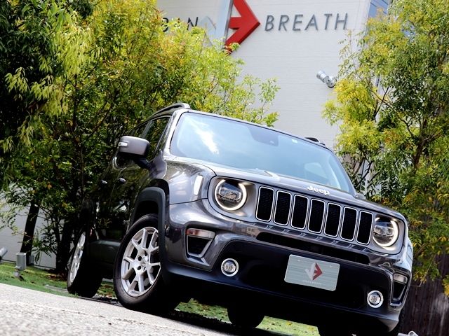 JEEP RENEGADE 2019 Image 31