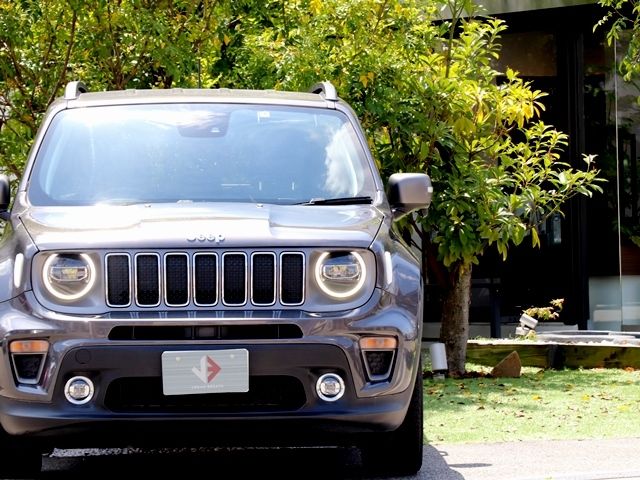 JEEP RENEGADE 2019 Image 31