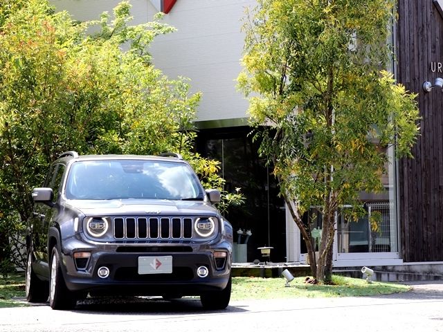 JEEP RENEGADE 2019 Image 31
