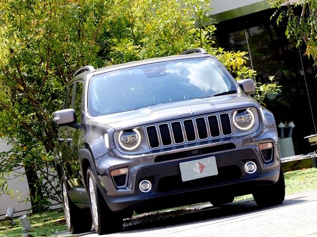 JEEP RENEGADE 2019 Image 31