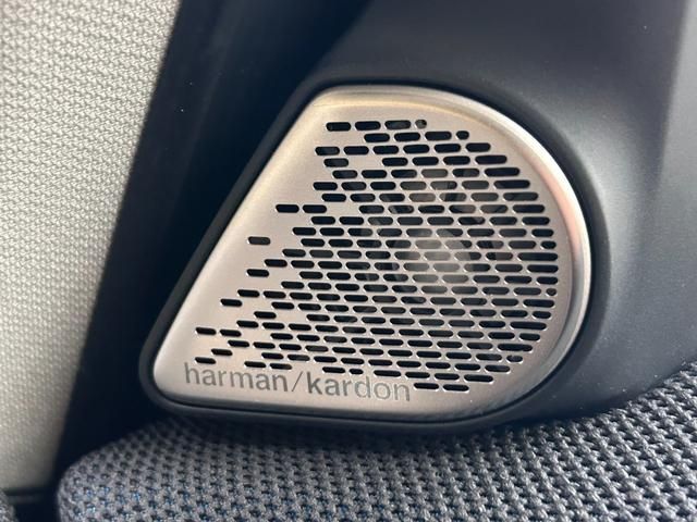 BMW MINI COUNTRYMAN 2024 Image 31