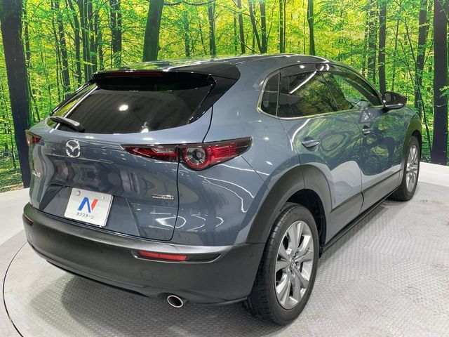 MAZDA CX-30 2021 Image 31