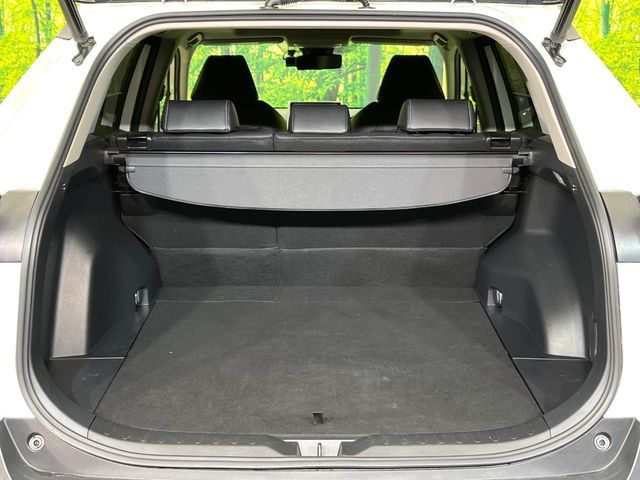 TOYOTA RAV4 4WD 2019 Image 31