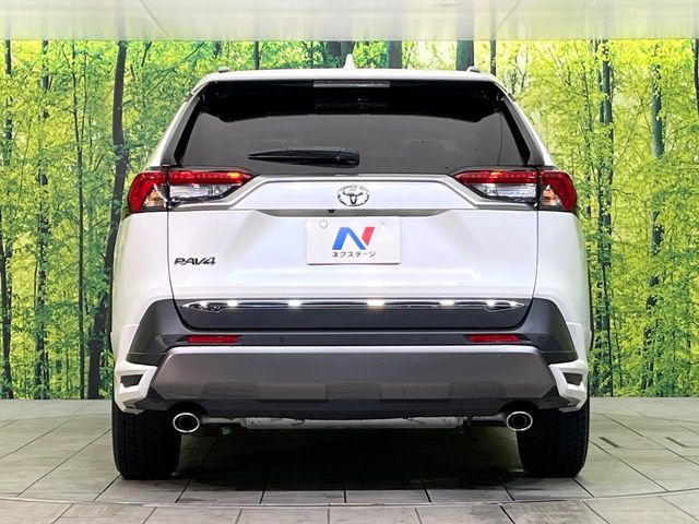 TOYOTA RAV4 4WD 2019 Image 31