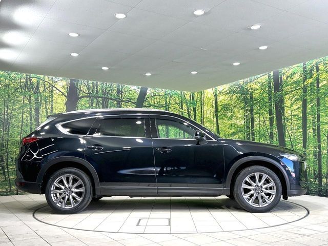 MAZDA CX-8 2019 Image 31