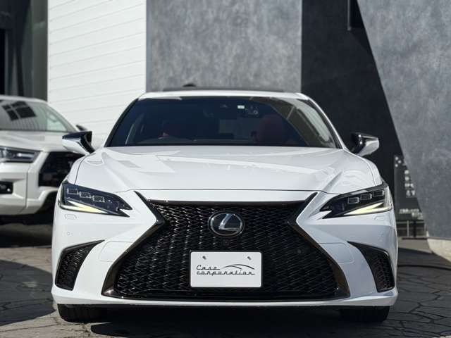 TOYOTA LEXUS ES300H 2023 Image 31