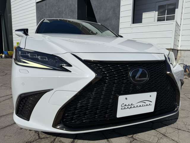 TOYOTA LEXUS ES300H 2023 Image 31