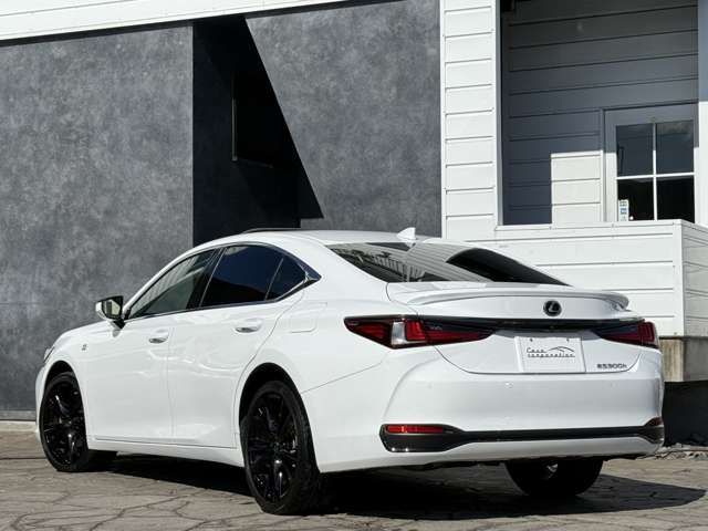 TOYOTA LEXUS ES300H 2023 Image 31