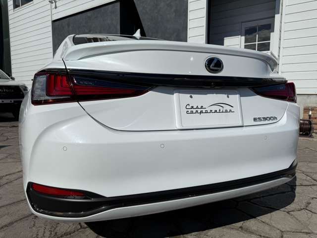 TOYOTA LEXUS ES300H 2023 Image 31