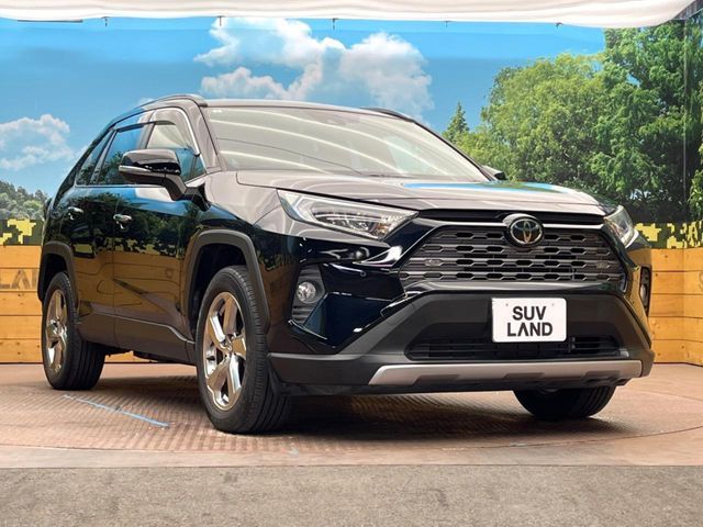 TOYOTA RAV4 4WD 2019 Image 31