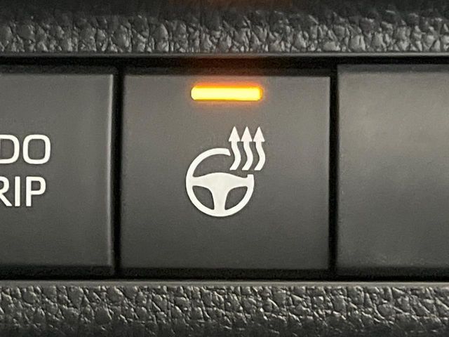 TOYOTA RAV4 HYBRID 4WD 2025 Image 31