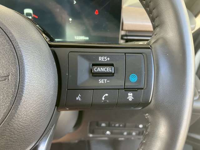 NISSAN SERENA  WG 2024 Image 31