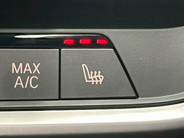 BMW X6 2021 Image 31