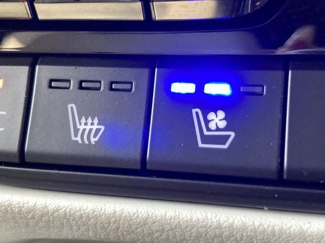 MAZDA CX-60 2023 Image 31