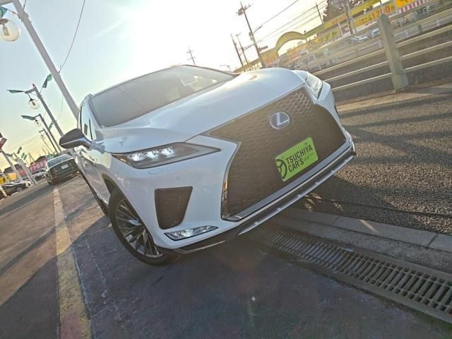 TOYOTA LEXUS RX450H AWD 2020 Image 31