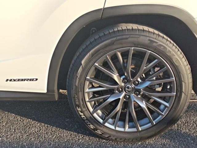 TOYOTA LEXUS RX450H AWD 2020 Image 31
