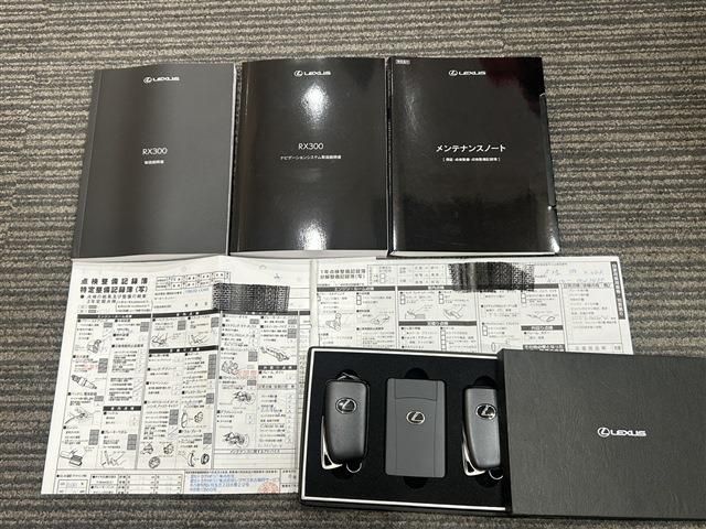 TOYOTA LEXUS RX300 2021 Image 31