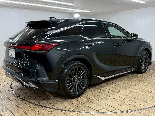 TOYOTA LEXUS RX450H+ 2023 Image 31