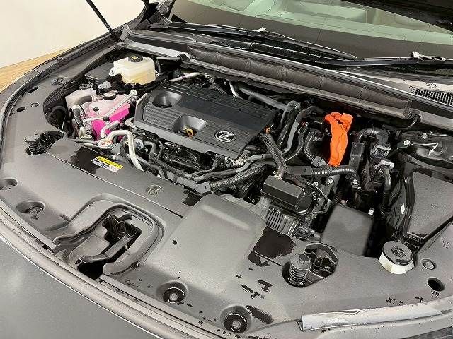 TOYOTA LEXUS RX450H+ 2023 Image 31