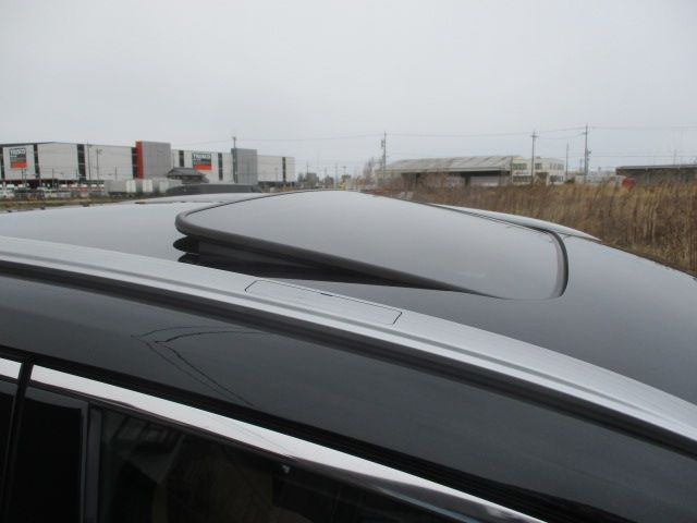 TOYOTA LEXUS NX450H+ AWD 2023 Image 31