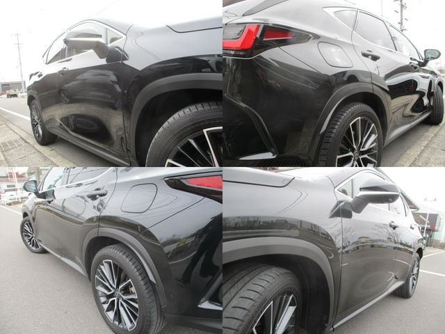 TOYOTA LEXUS NX450H+ AWD 2023 Image 31