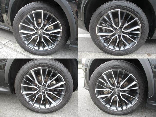 TOYOTA LEXUS NX450H+ AWD 2023 Image 31