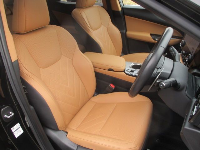 TOYOTA LEXUS NX450H+ AWD 2023 Image 31