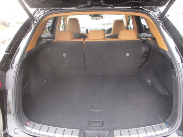 TOYOTA LEXUS NX450H+ AWD 2023 Image 31