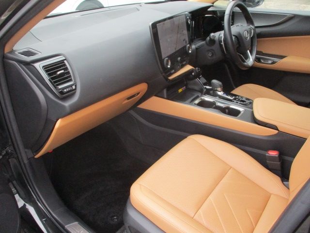 TOYOTA LEXUS NX450H+ AWD 2023 Image 31