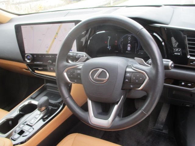 TOYOTA LEXUS NX450H+ AWD 2023 Image 31