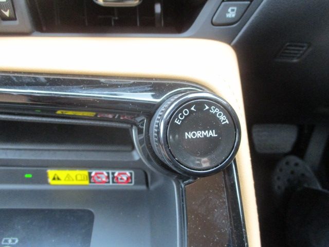 TOYOTA LEXUS NX450H+ AWD 2023 Image 31