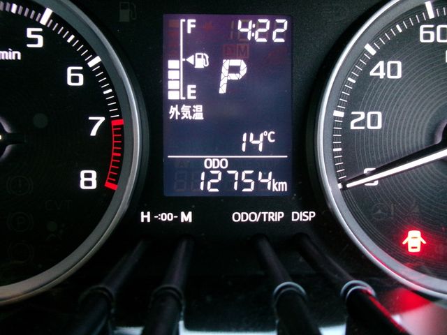 DAIHATSU CAST STYLE 2023 Image 31