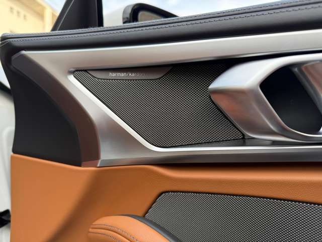 BMW 8SERIES OPEN 2020 Image 31