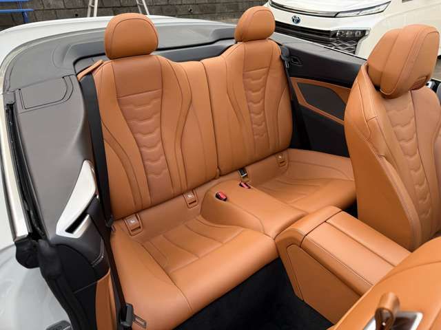 BMW 8SERIES OPEN 2020 Image 31