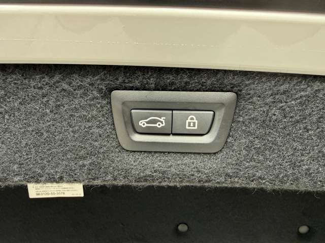 BMW 8SERIES OPEN 2020 Image 31