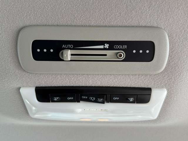 NISSAN SERENA  WG 2018 Image 31